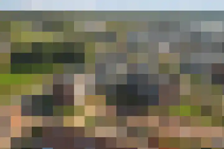 Rentambt 30 Elst thumbnail 35