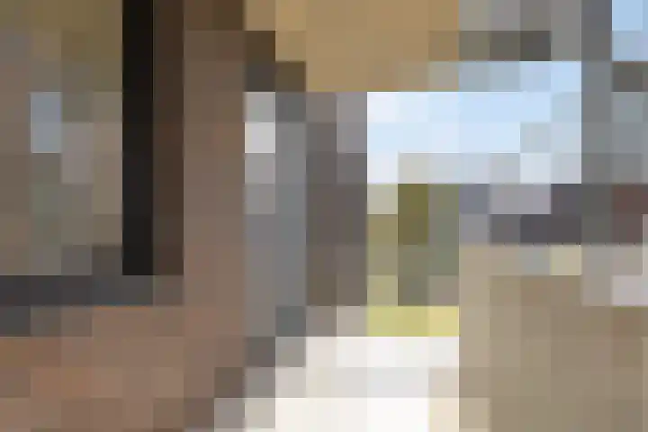 Rentambt 30 Elst thumbnail 6