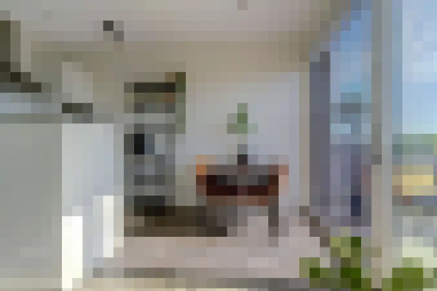 Rentambt 46 Elst thumbnail 12