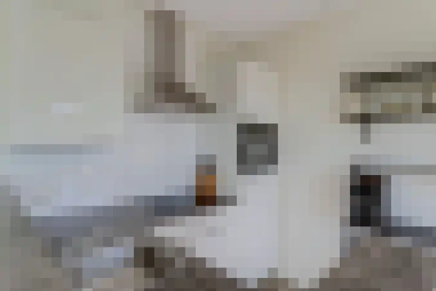 Rentambt 46 Elst thumbnail 15