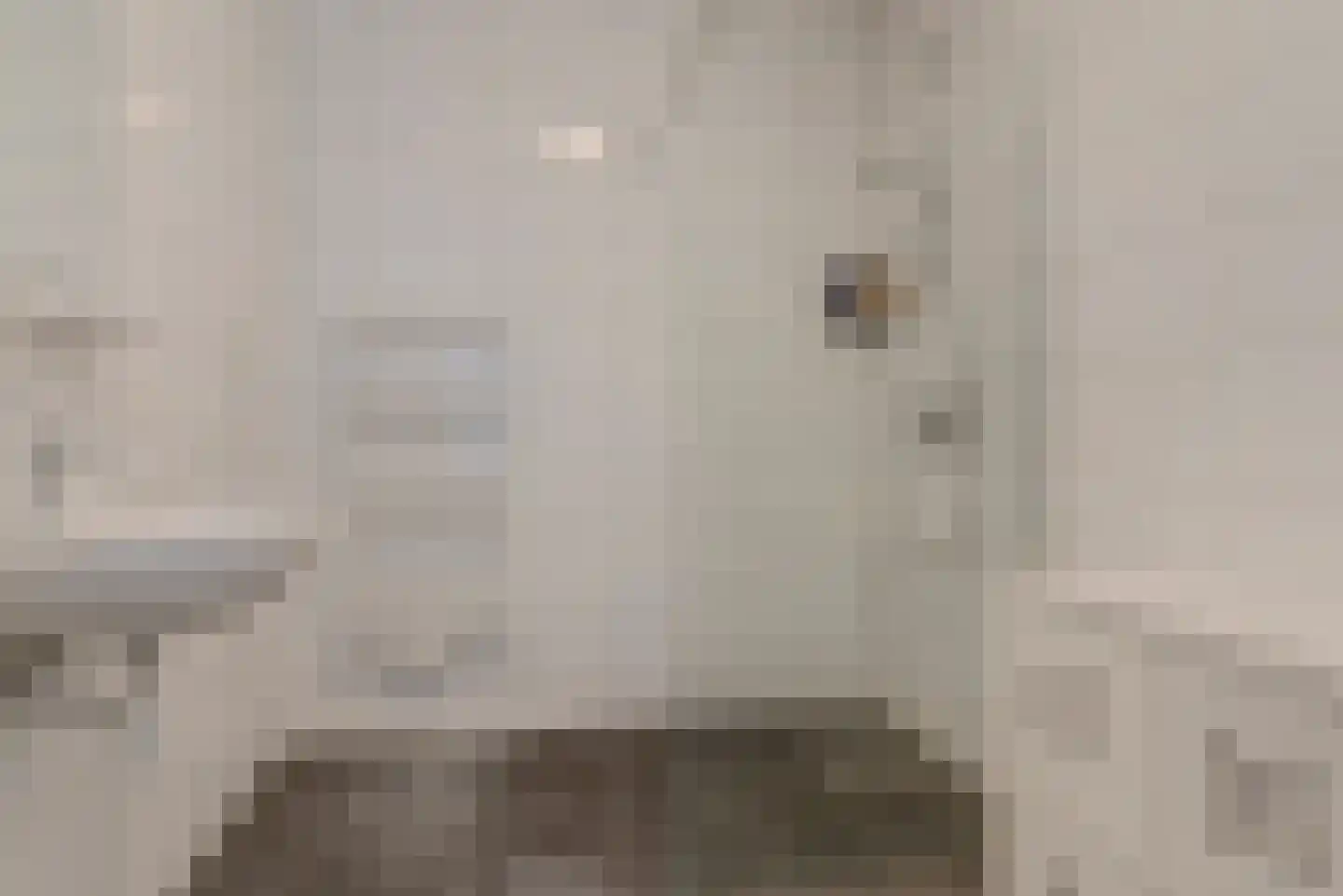 Rentambt 46 Elst thumbnail 21