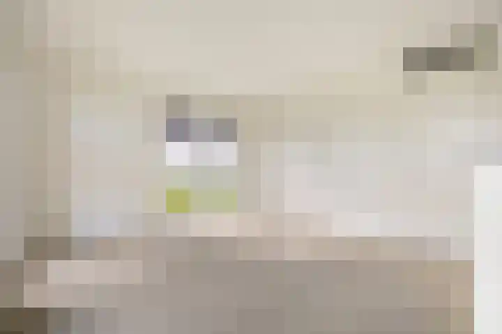 Rentambt 6 Elst thumbnail 11