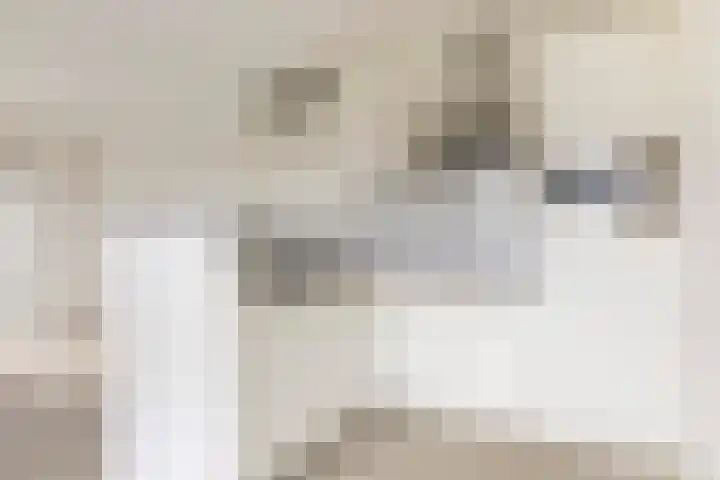 Rentambt 6 Elst thumbnail 12