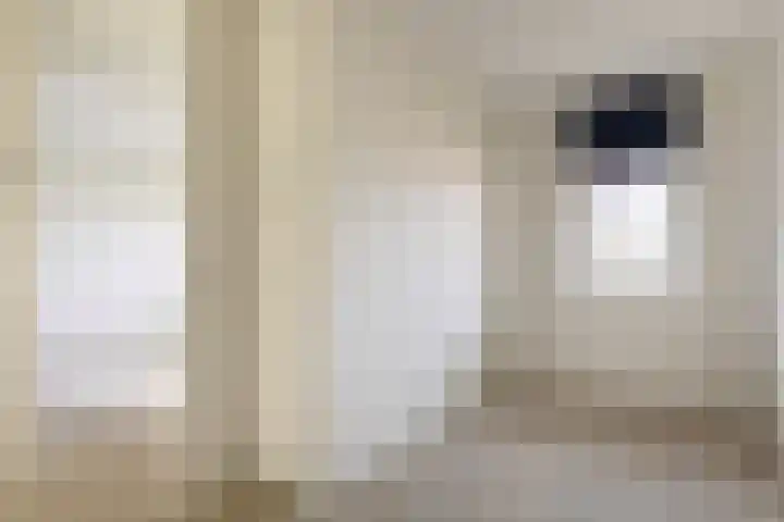 Rentambt 6 Elst thumbnail 17