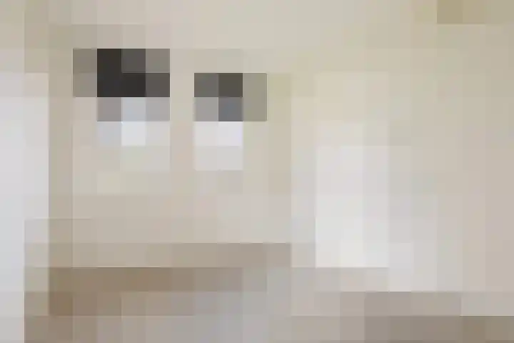 Rentambt 6 Elst thumbnail 18