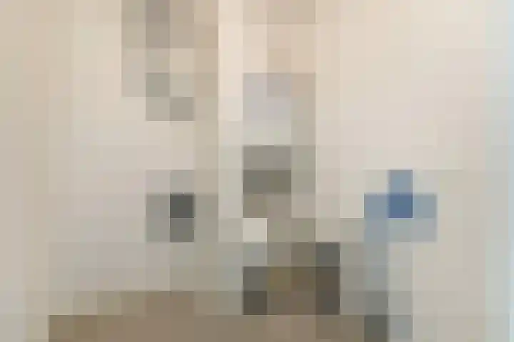 Rentambt 6 Elst thumbnail 20