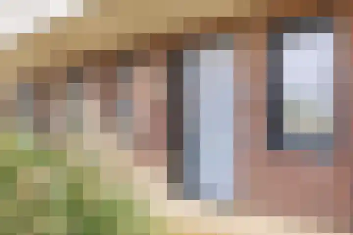 Rentambt 6 Elst thumbnail 5