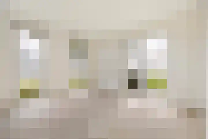 Rentambt 6 Elst thumbnail 9