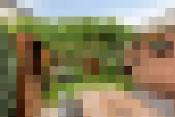 Rentenierstraat 34 Lichtenvoorde thumbnail 4