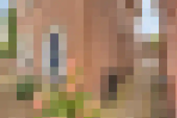 Rentenierstraat 34 Lichtenvoorde thumbnail 7