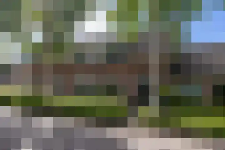 Rentinckstraat 25 Achterveld thumbnail 30