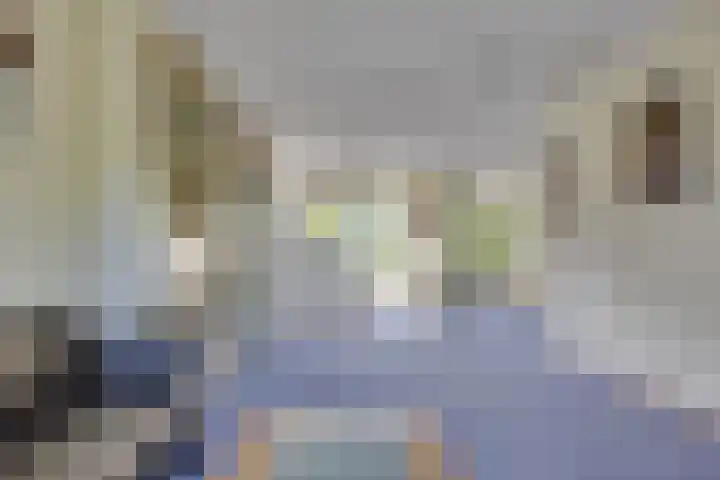 Rentinckstraat 25 Achterveld thumbnail 6
