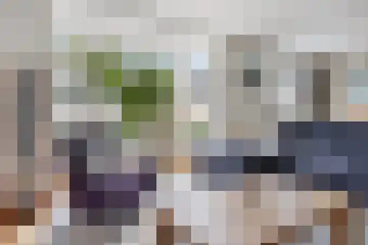 Rentmeester 23 Steenwijk thumbnail 10