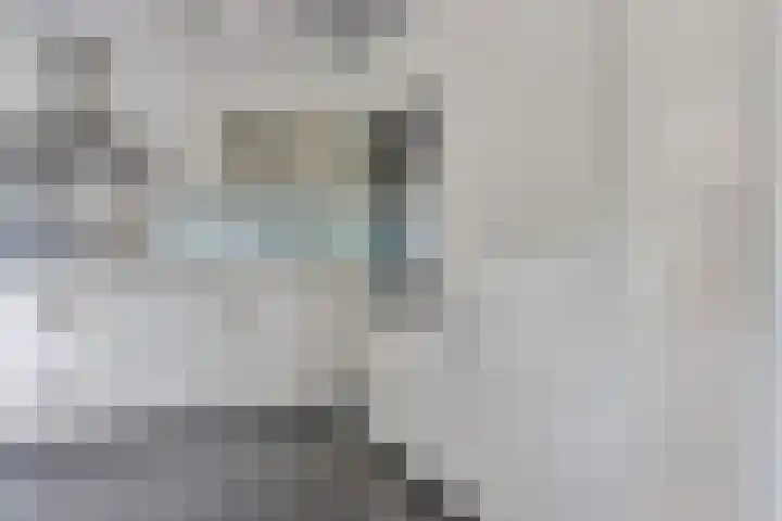Rentmeester 23 Steenwijk thumbnail 16