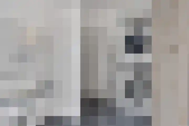 Rentmeester 23 Steenwijk thumbnail 20
