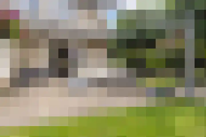 Rentmeester 23 Steenwijk thumbnail 37