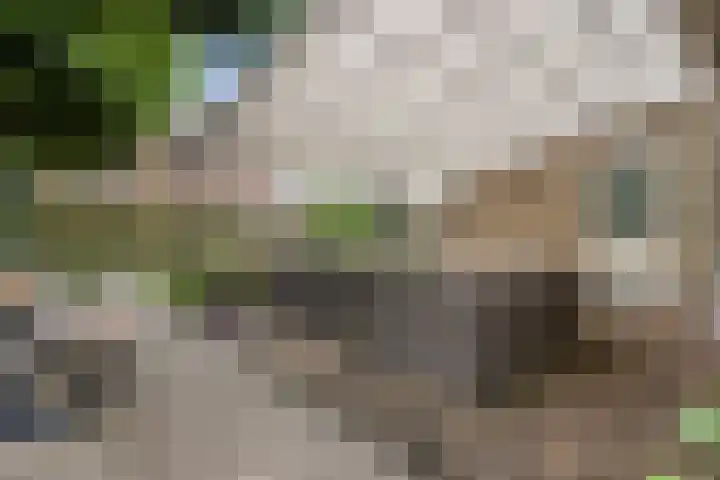 Rentmeester 23 Steenwijk thumbnail 40