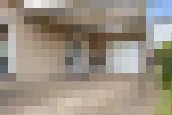 Rentmeester 23 Steenwijk thumbnail 8