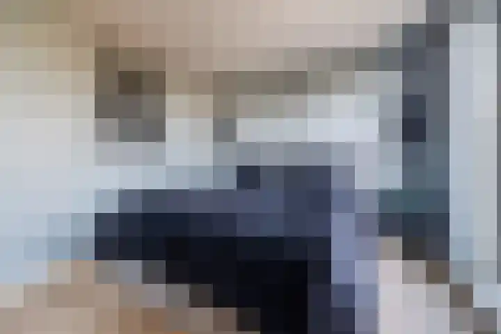 Rentmeesterhof 18 Tilburg thumbnail 16