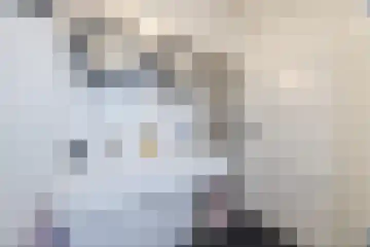 Rentmeesterhof 18 Tilburg thumbnail 22