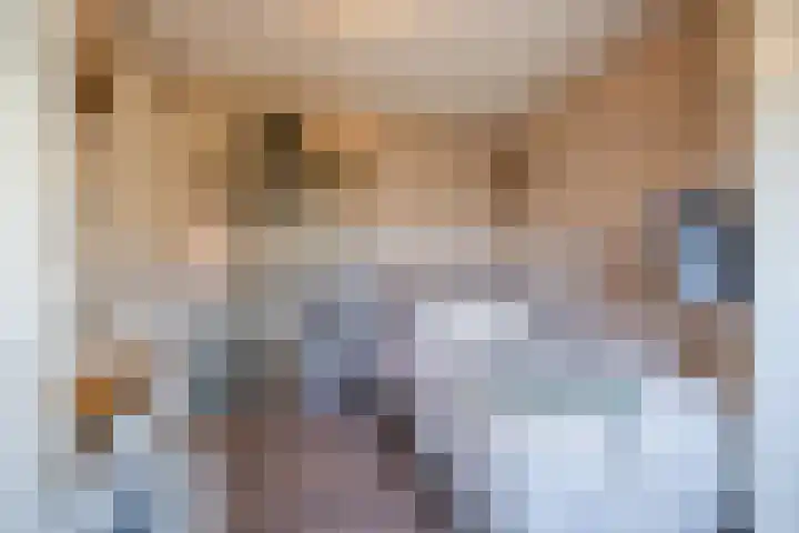 Rentmeesterhof 18 Tilburg thumbnail 26