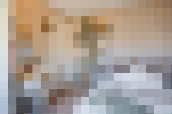 Rentmeesterhof 18 Tilburg thumbnail 27