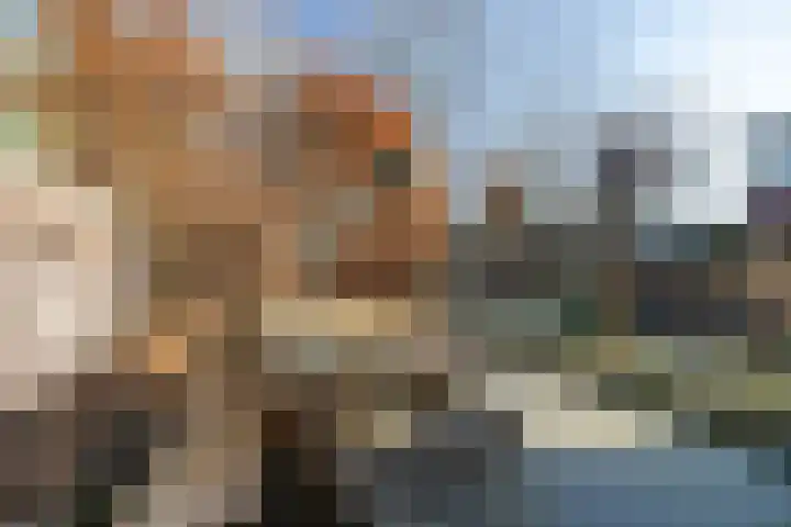Rentmeesterhof 18 Tilburg thumbnail 34