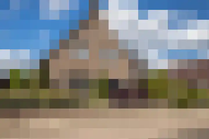 Rentmeesterhof 19 Eerbeek thumbnail 24
