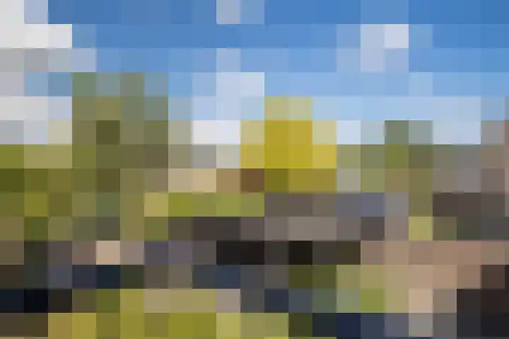 Rentmeesterhof 19 Eerbeek thumbnail 28
