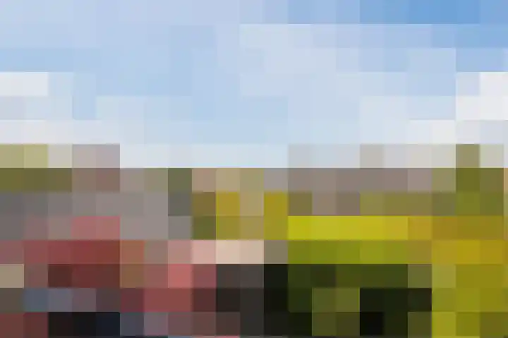 Rentmeesterhof 19 Eerbeek thumbnail 29