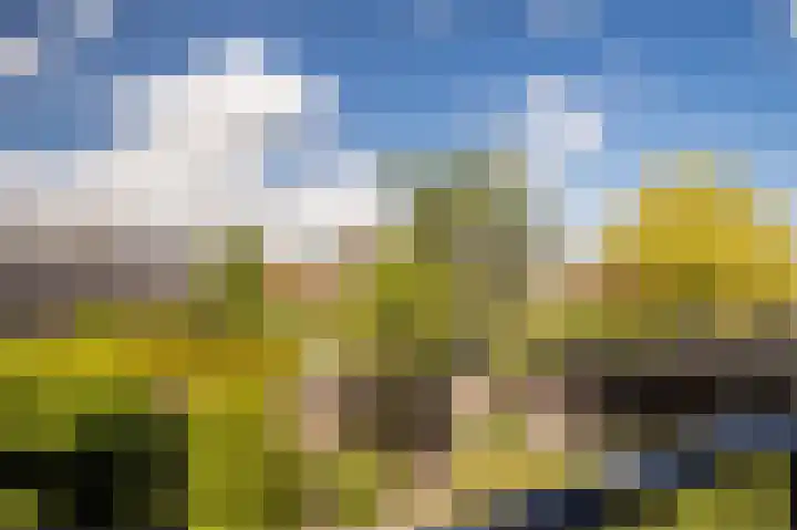 Rentmeesterhof 19 Eerbeek thumbnail 30