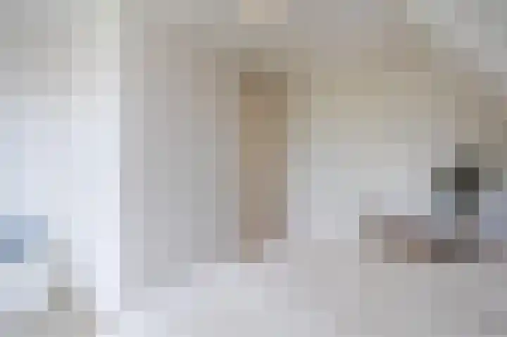 Rentmeesterhof 19 Eerbeek thumbnail 31