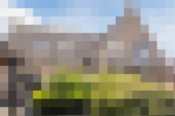 Rentmeesterhof 19 Eerbeek thumbnail 42