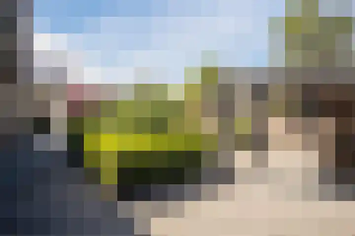 Rentmeesterhof 19 Eerbeek thumbnail 43