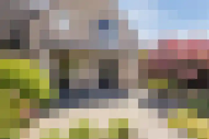 Rentmeesterhof 19 Eerbeek thumbnail 45
