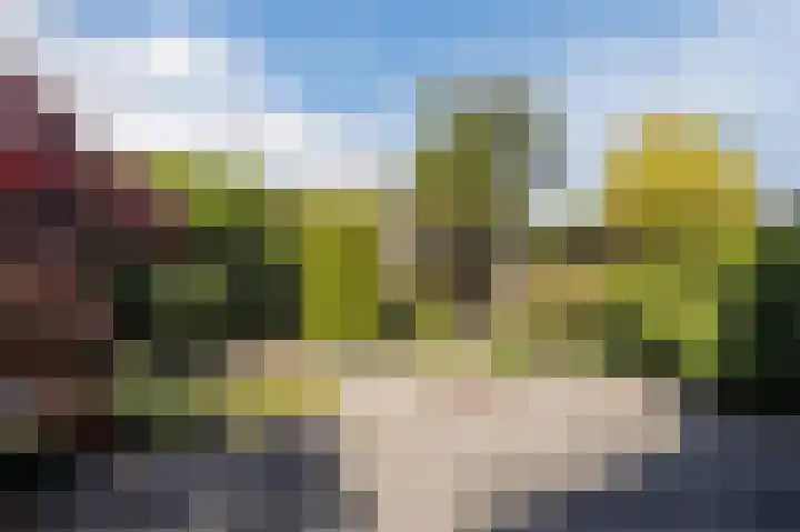Rentmeesterhof 19 Eerbeek thumbnail 47