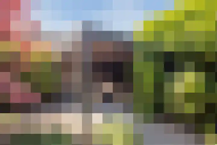 Rentmeesterhof 19 Eerbeek thumbnail 48