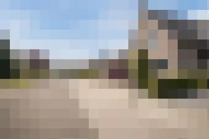 Rentmeesterhof 19 Eerbeek thumbnail 51