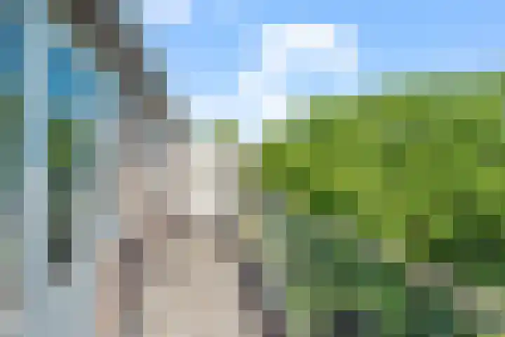 Rentmeesterhof 9 Eerbeek thumbnail 17