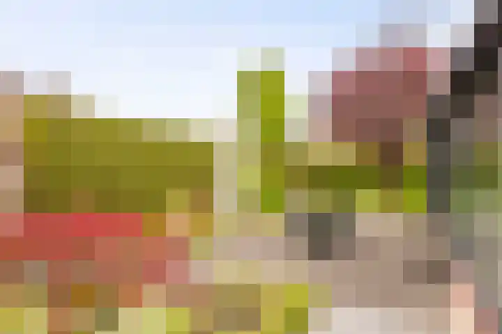 Rentmeesterhof 9 Eerbeek thumbnail 31