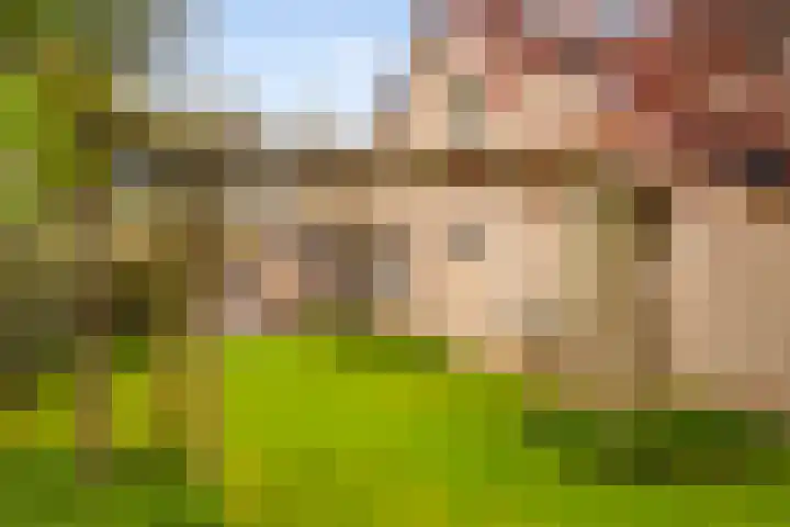 Rentmeesterhof 9 Eerbeek thumbnail 33