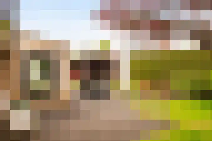 Rentmeesterhof 9 Eerbeek thumbnail 35