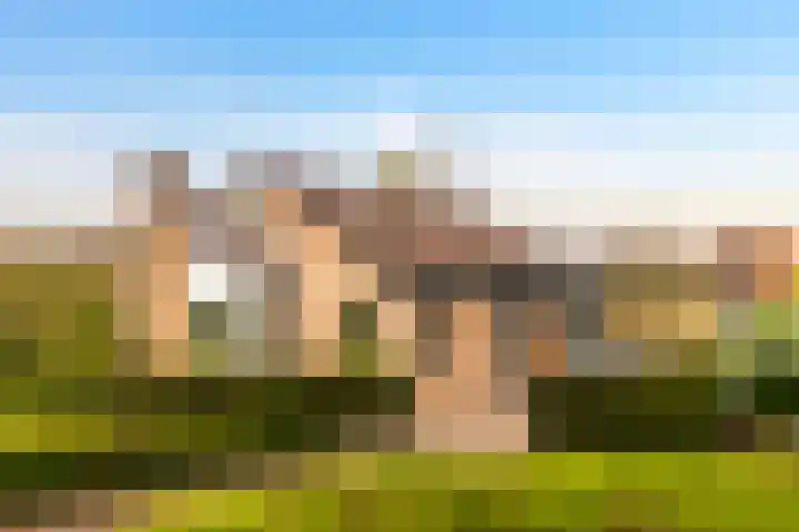 Rentmeesterhof 9 Eerbeek thumbnail 40