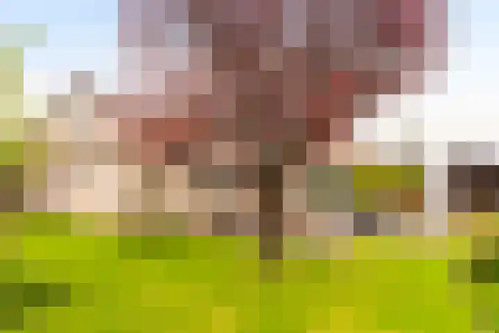 Rentmeesterhof 9 Eerbeek thumbnail 5