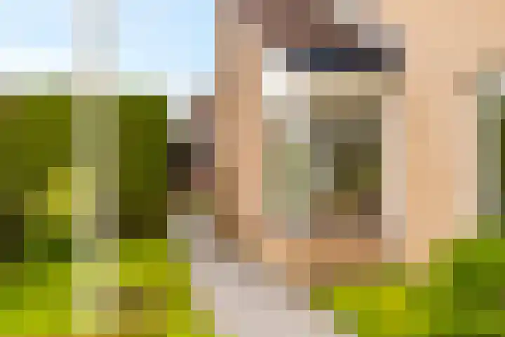 Rentmeesterhof 9 Eerbeek thumbnail 7