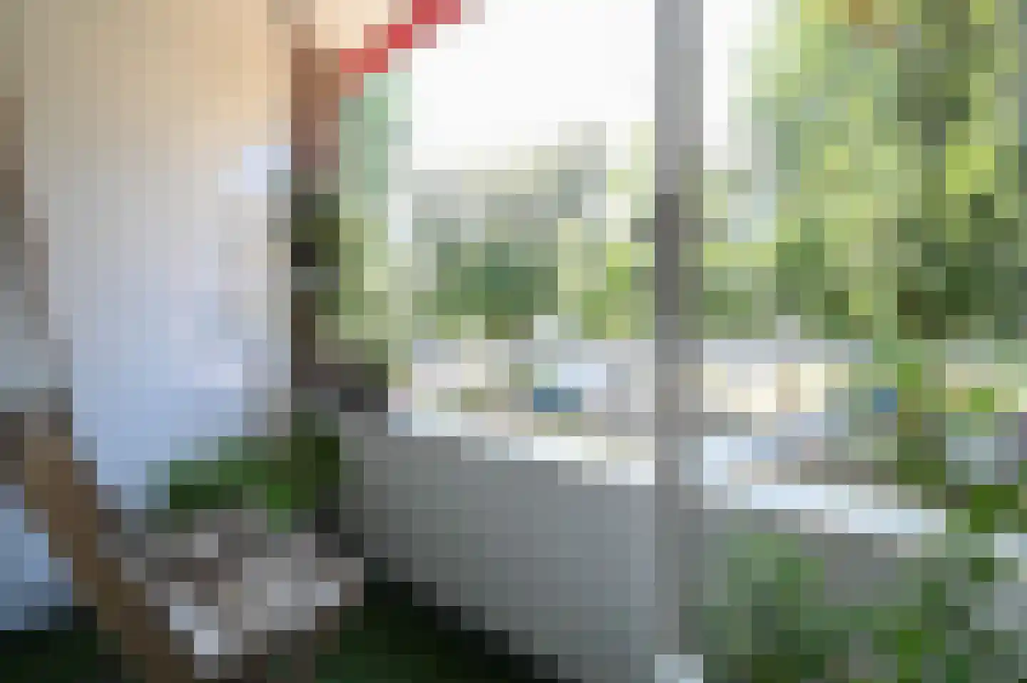 Rentmeesterlaan 14 Nijmegen thumbnail 12