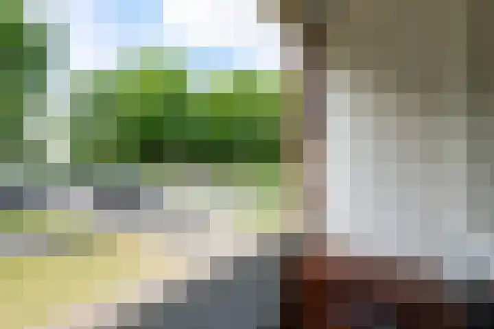 Rentmeesterlaan 18 Nijmegen thumbnail 22