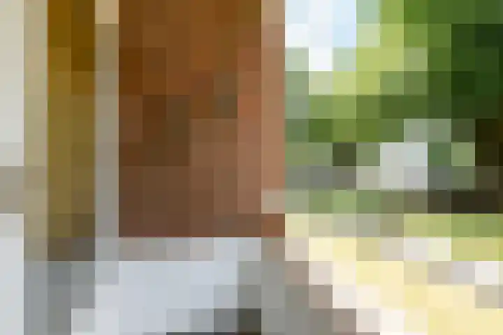 Rentmeesterlaan 18 Nijmegen thumbnail 23