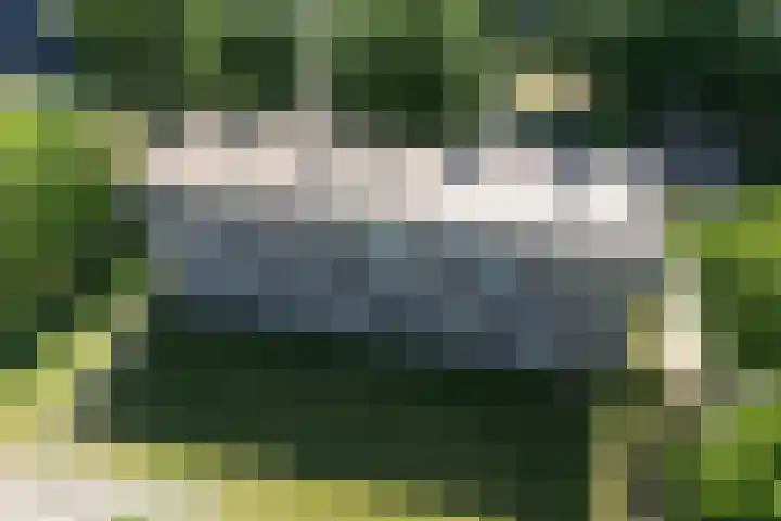 Rentmeesterlaan 18 Nijmegen thumbnail 24