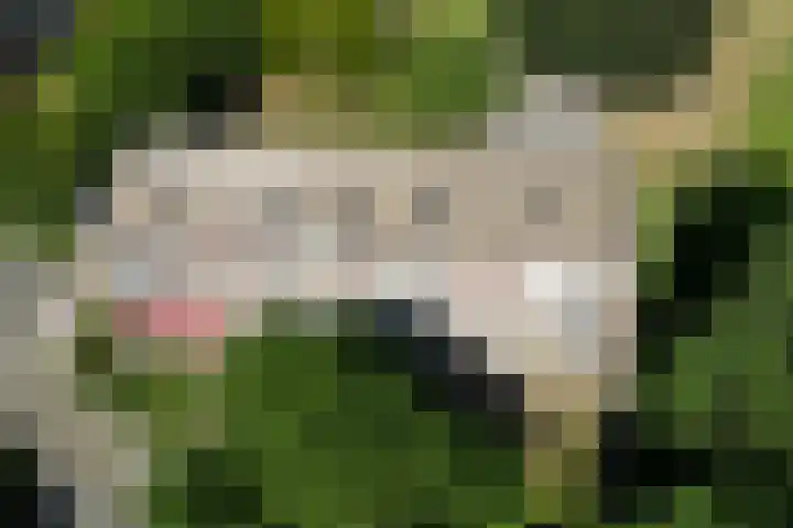 Rentmeesterlaan 18 Nijmegen thumbnail 25